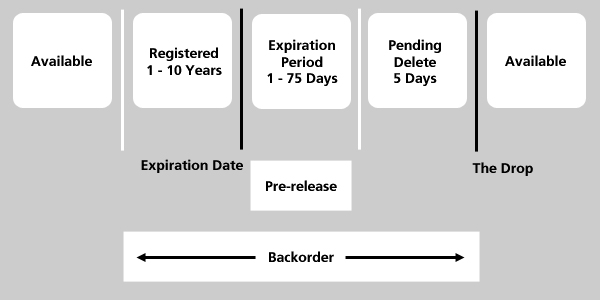 domain-name-life-cycle