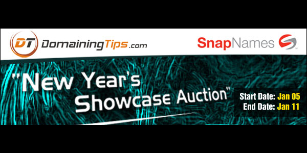 domaining-tips-snapnames-auction